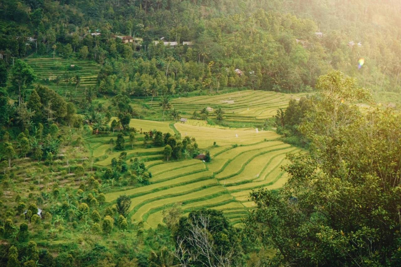 Resor Maha Hills By Mahaprana Experience Lovina (Bali)