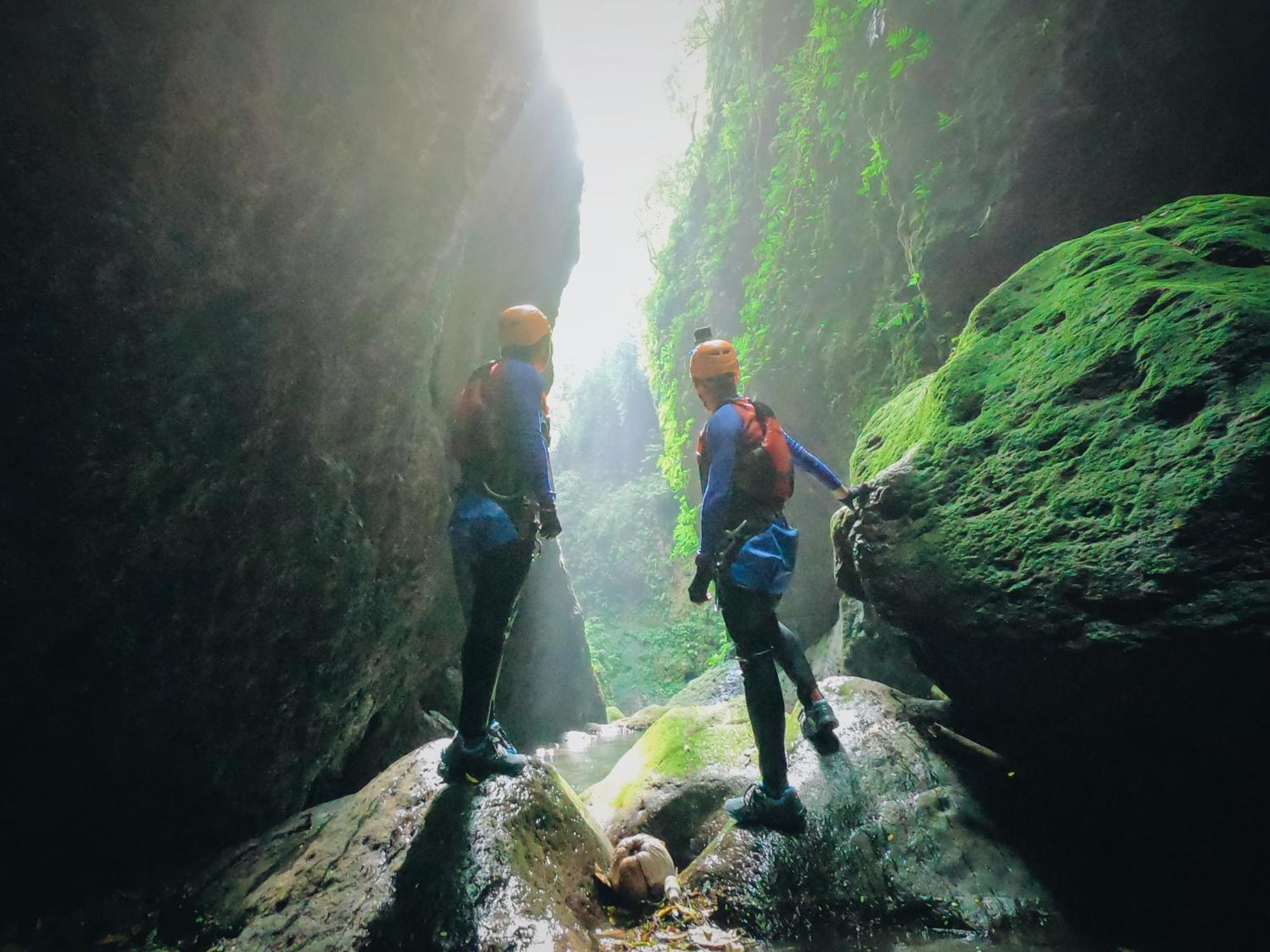 Maha Hills By Mahaprana Experience Resor Lovina (Bali)